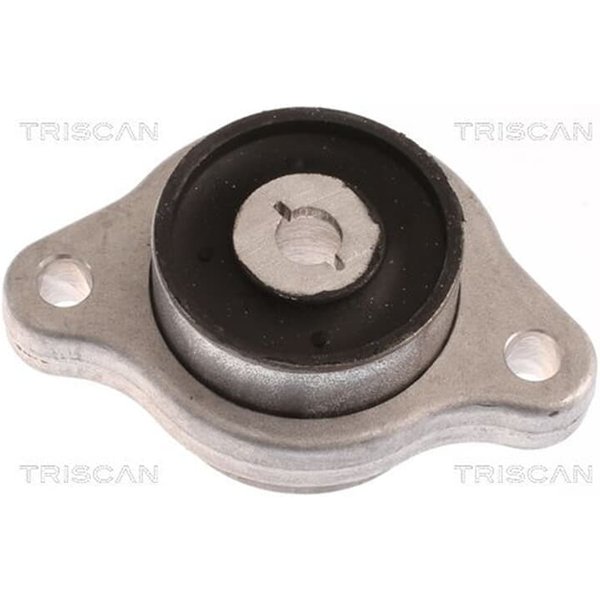 Triscan Querlenkerlager Mercedes Viano Vito-image