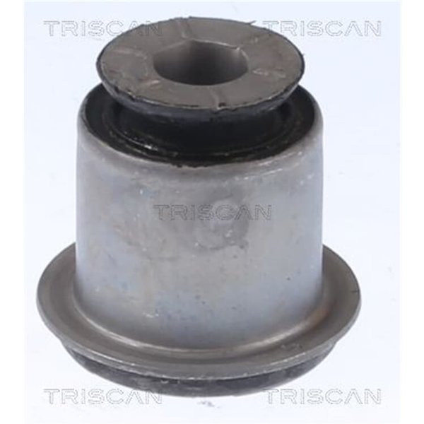 Triscan Querlenkerlager Citroen C5 C6 DS Ds Peugeot 407 508-image