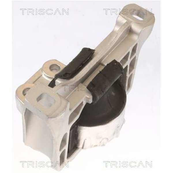 Triscan Motorlager Volvo C30 C70 S40 V50 2,0-image
