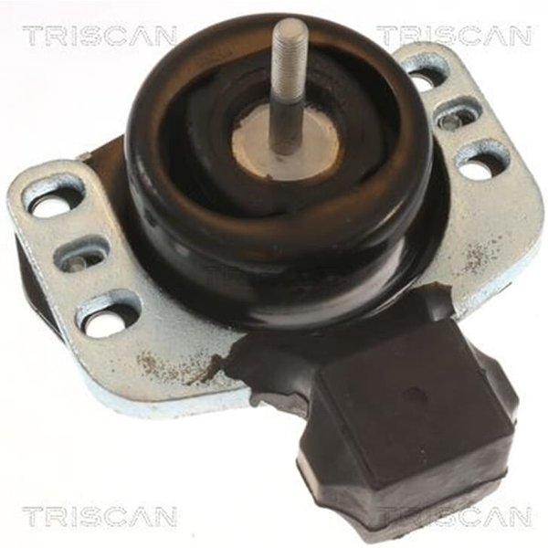 Triscan Motorlager Opel Movano Renault Master-image