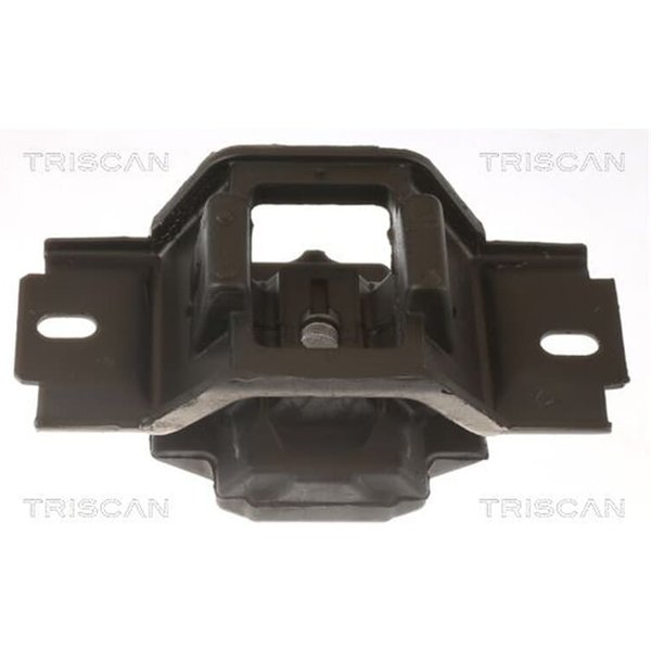 Triscan Motorlager Ford Fiesta Fusion Mazda 2-image
