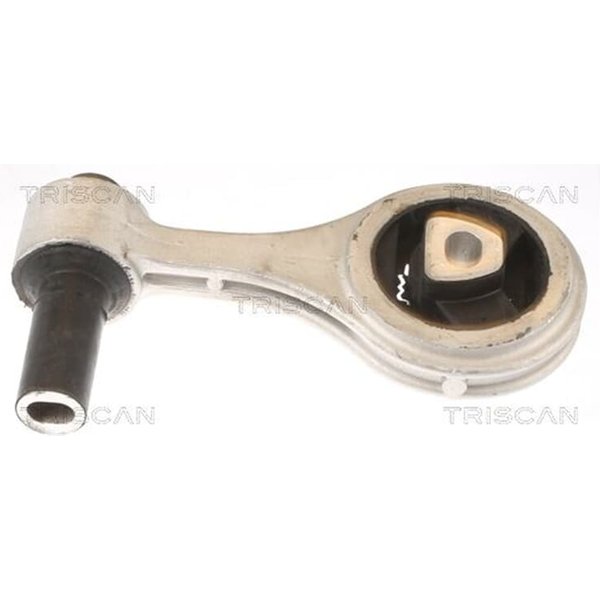 Triscan Motorlager Fiat Doblo 263 1,3-image
