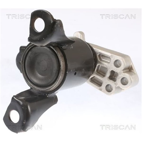 Triscan Motorlager Ford B-Max Fiesta-image