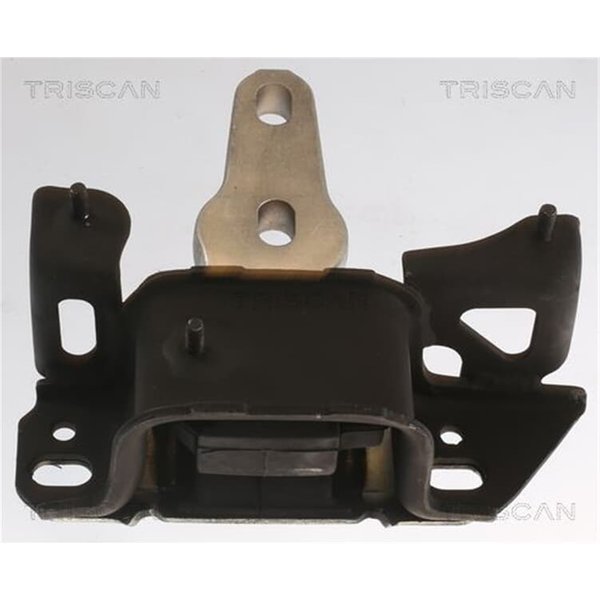 Triscan Motorlager Ford B-Max Ecosport Fiesta-image