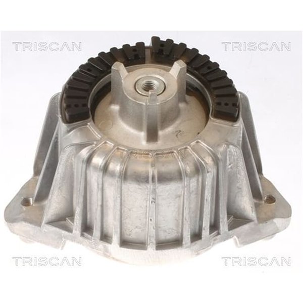 Triscan Motorlager Mercedes C-Klasse W204 E-Klasse-image