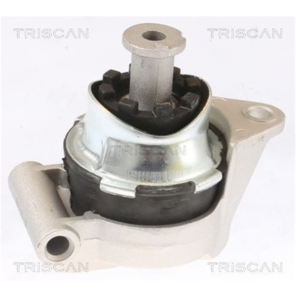 Triscan Motorlager Opel Astra G H Zafira A B-image