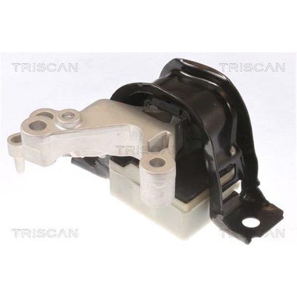 Triscan Motorlager Dacia Dokker Duster Lodgy Renault Captur Clio-image