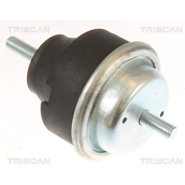 Triscan Motorlager Citroen Berlingo Xsara Peugeot 206 206+ Partner-image