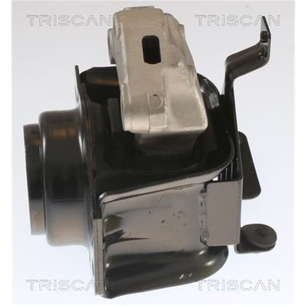 Triscan Motorlager Citroen Berlingo Peugeot Partner 1,6-image