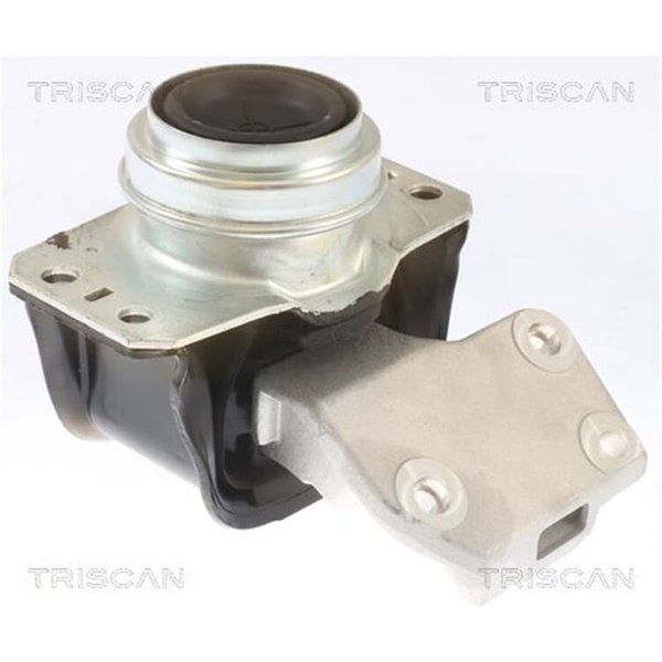 Triscan Motorlager Citroen C4 Peugeot 307-image