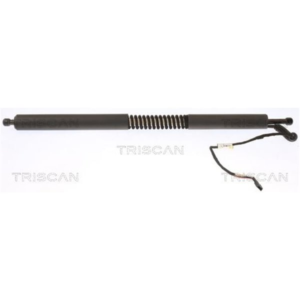 Triscan Elektrische Gasfeder BMW 3Er F34 Gran Turismo-image