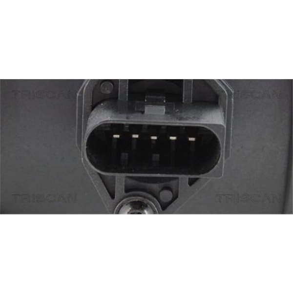 Triscan Agr-Ventil Citroen Ford Land Rover Peugeot 881310007-image