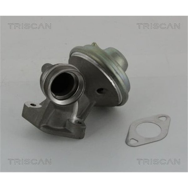 Triscan Agr-Ventil Citroen Ford Peugeot-image