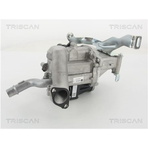 Triscan Agr-Ventil Citroen Peugeot Volvo-image
