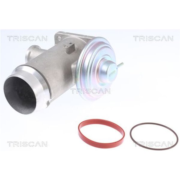 Triscan Agr-Ventil Bmw 3Er 5Er 7Er X5 3,0-image