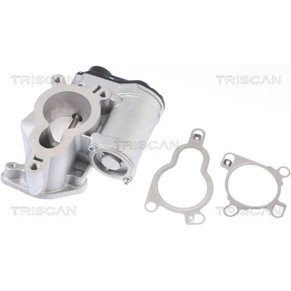 Triscan Agr-Ventil Nissan Primastar Qashqai X-Trail-image