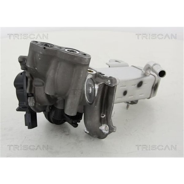 Triscan Agr-Ventil Citroen Fiat Ford Peugeot 2,0-image