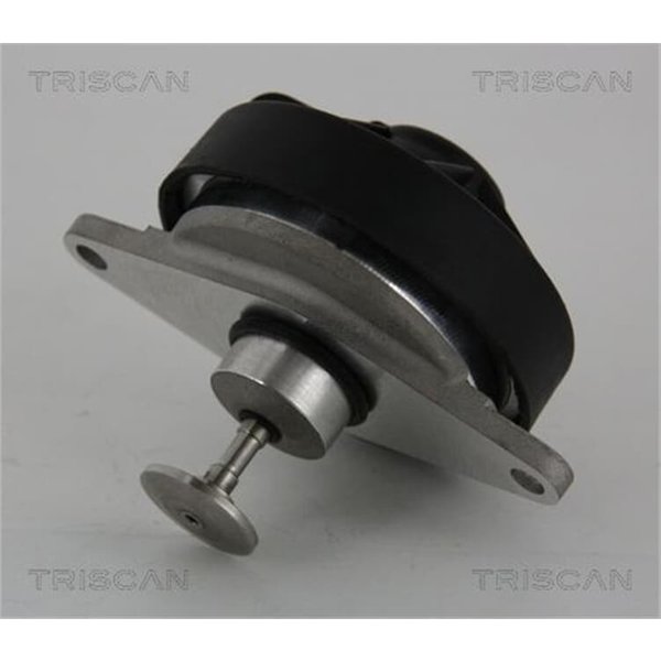 Triscan Agr-Ventil Opel Vectra 2,2-image