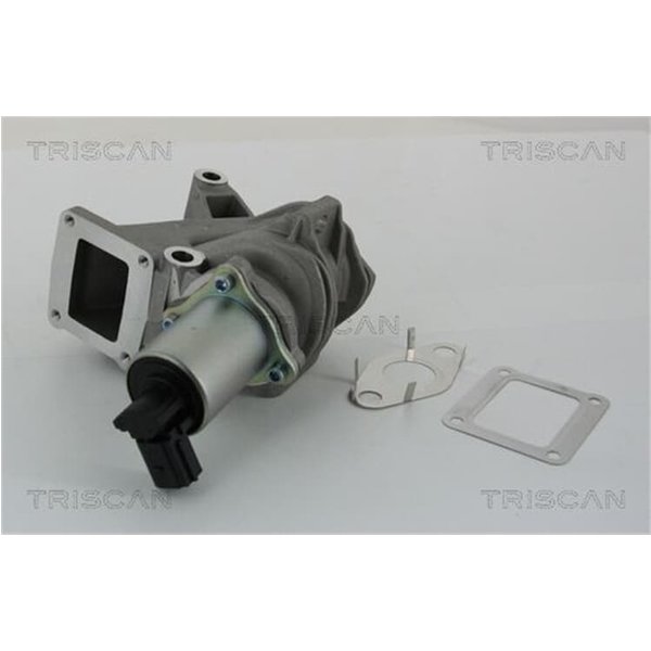 Triscan Agr-Ventil Renault Grand Laguna Megane ScéNic 1,9 881325100-image