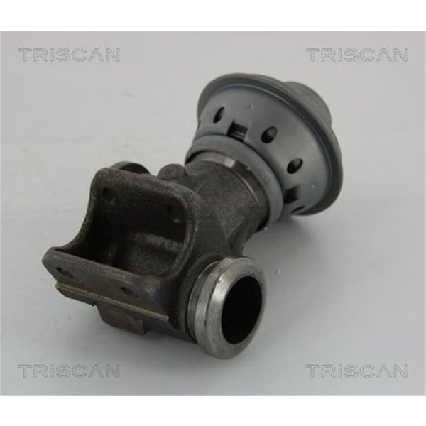Triscan Agr-Ventil Citroen Fiat Peugeot 881328013-image