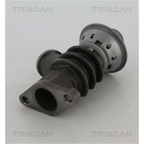 Triscan Agr-Ventil Citroen Peugeot 881328100-image