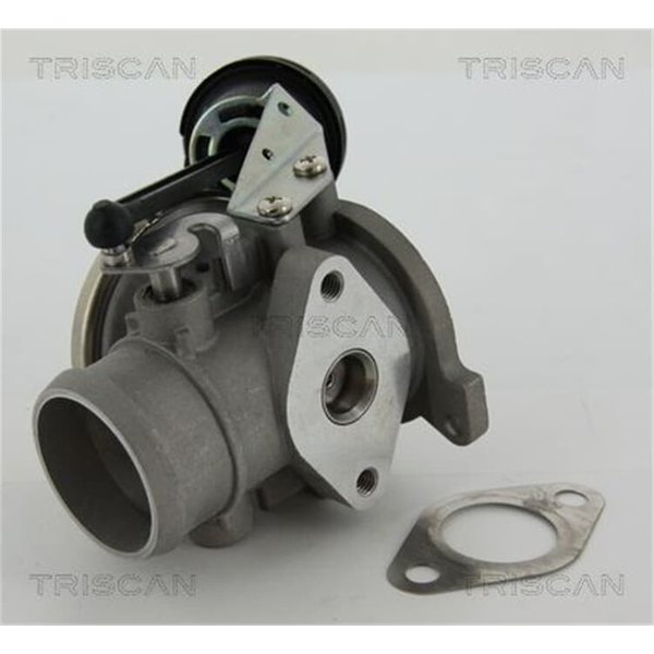 Triscan Agr-Ventil Audi A2 Seat Arosa Vw Lupo Polo 1,4-image