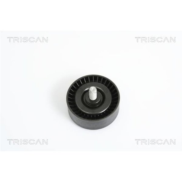 Triscan Umlenkrolle BMW 1Er 3Er 5Er X1 X3 Z4 2,0-image