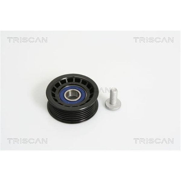 Triscan Umlenkrolle Ford Mondeo Transit Jaguar X-Type-image