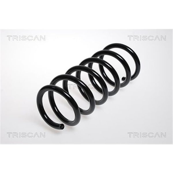Triscan Feder Vorne 87501002 Nissan Primastar Opel Vivaro Renault Trafic-image