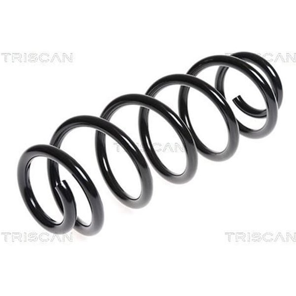 Triscan Feder Hinten Fiat Sedici Suzuki Sx4 87501041-image