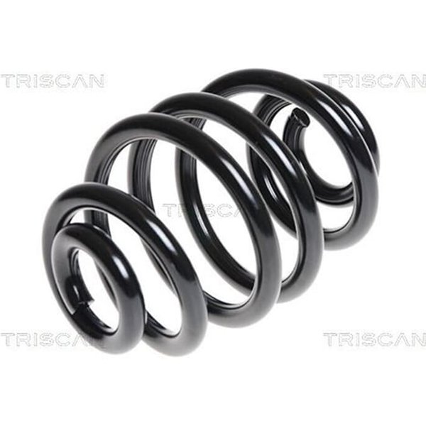 Triscan Feder Hinten BMW 3Er E46 Coupe Touring-image