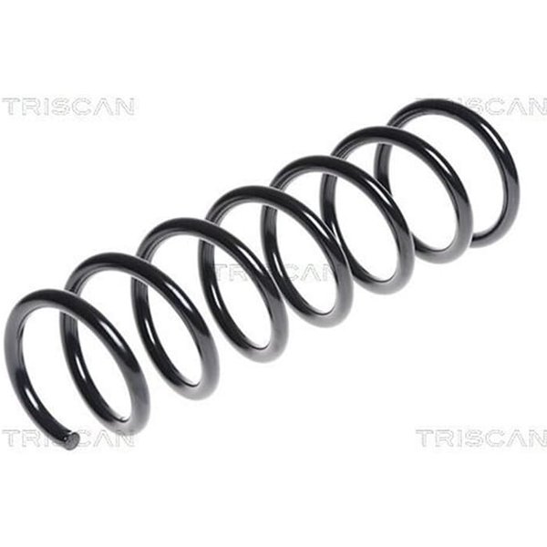Triscan Feder Hinten BMW 5Er E60 875011132-image