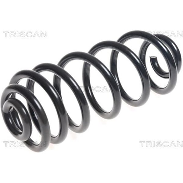 Triscan Feder Hinten BMW X5 E70 3,0-image