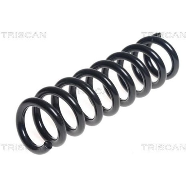 Triscan Feder Hinten BMW 3Er F30 875011199-image