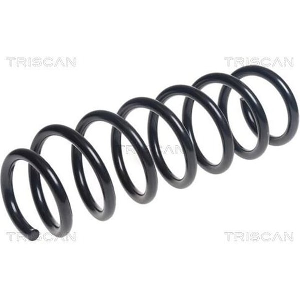 Triscan Feder Hinten Bmw X3 X4 875011211-image