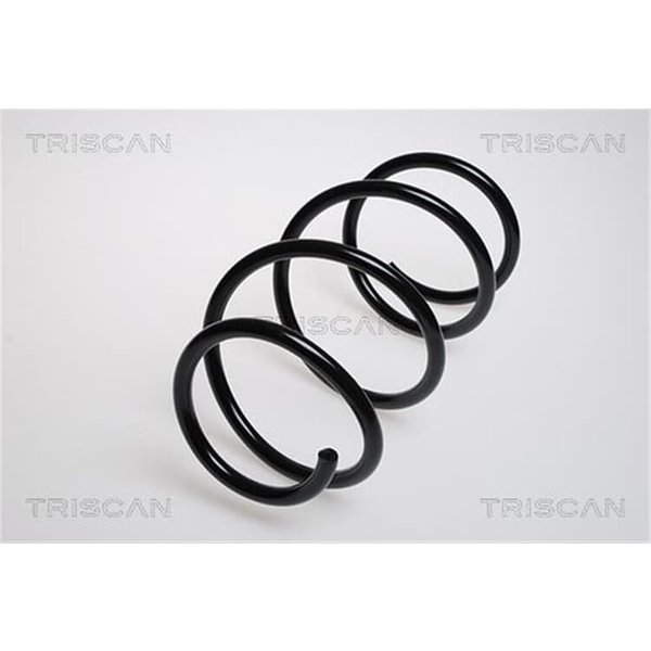 Triscan Feder Vorne BMW 5Er E39-image
