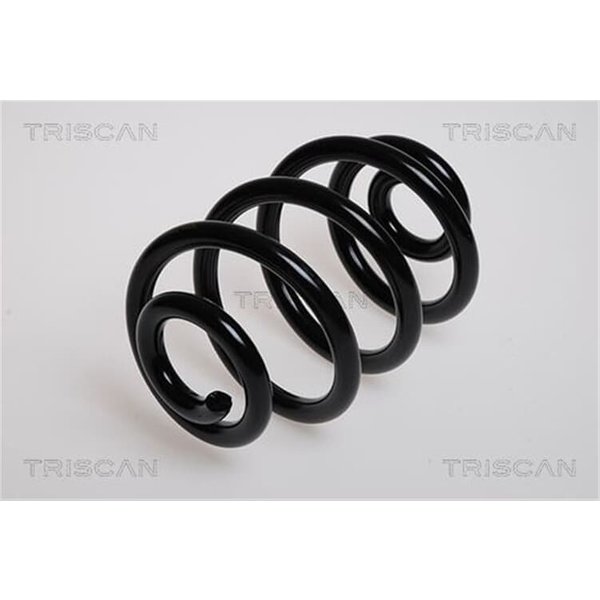 Triscan Feder Hinten BMW 3Er E46 87501140-image