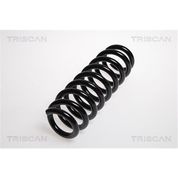 Triscan Feder Hinten BMW 1Er E81 E87-image