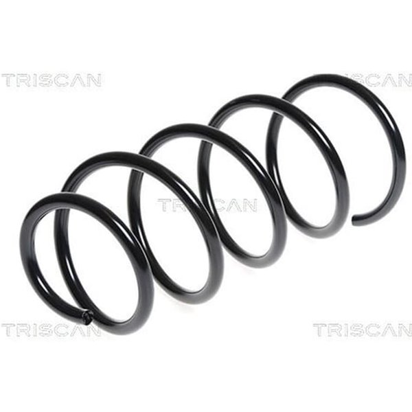 Triscan Feder Vorne Bmw 1Er E81 3Er E90 87501197-image
