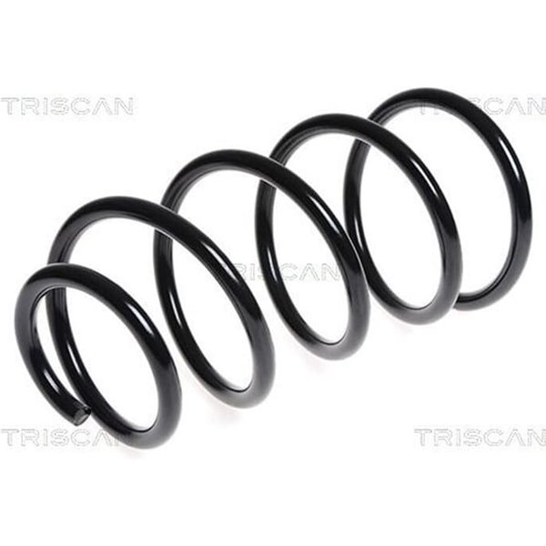 Triscan Feder Vorne Bmw 5Er E60 87501199-image