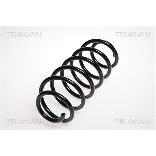Triscan Feder Hinten Citroen C1 Peugeot 107 Toyota Aygo-image
