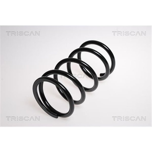 Triscan Feder Hinten Toyota Rav 4 2 2,0 875013149-image