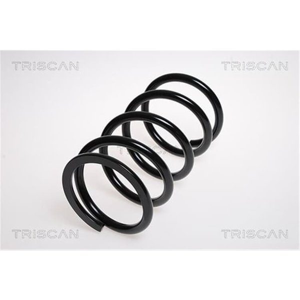 Triscan Feder Hinten Toyota Rav 4 2 2,0 875013150-image