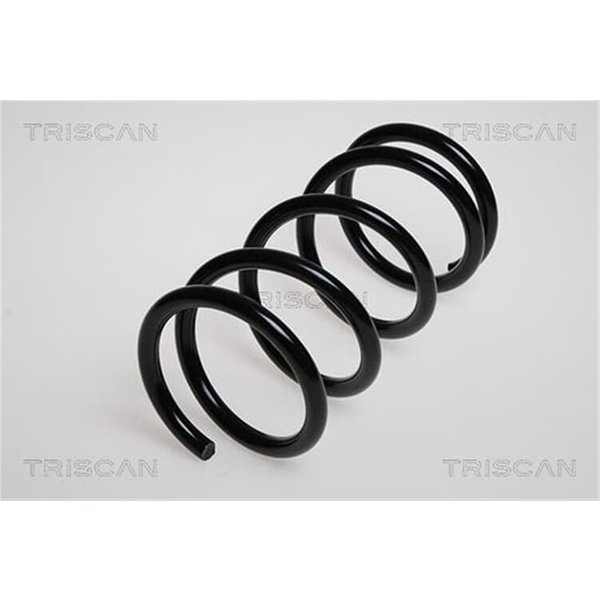 Triscan Feder Hinten Toyota Rav 4 1 2,0-image