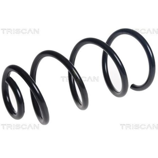 Triscan Feder Hinten Nissan Note-image