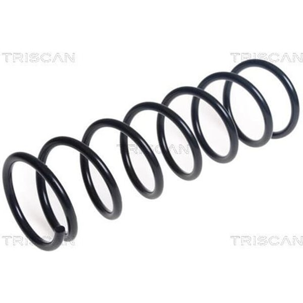 Triscan Feder Vorne Nissan Micra K14-image