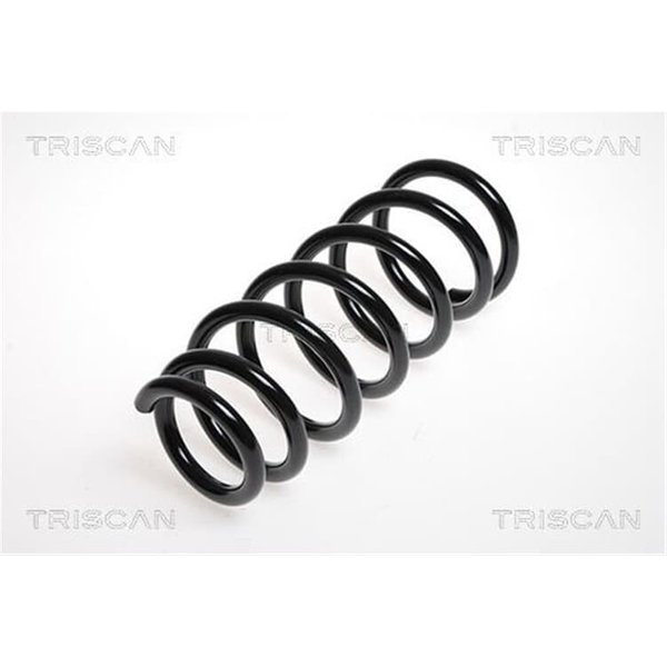 Triscan Feder Hinten Nissan Primera P12-image