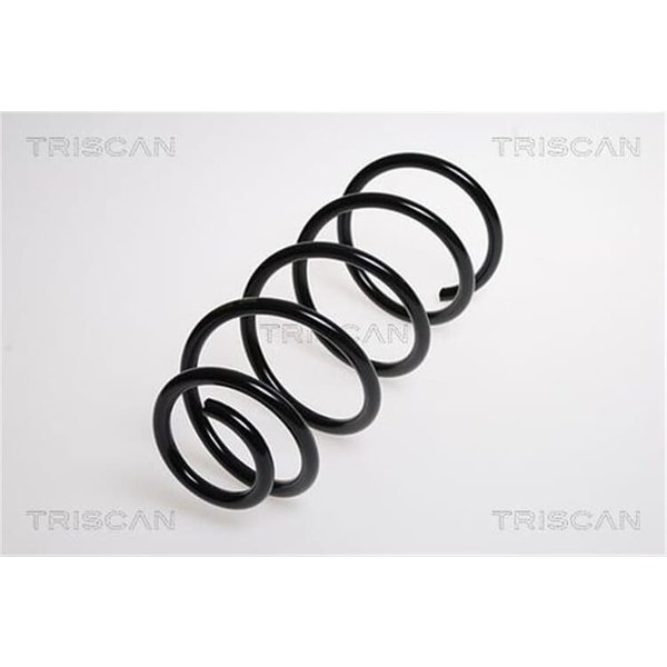 Triscan Feder Hinten Fiat Grande Punto 875015104-image