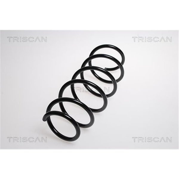 Triscan Feder Vorne Fiat Grande Punto 875015106-image