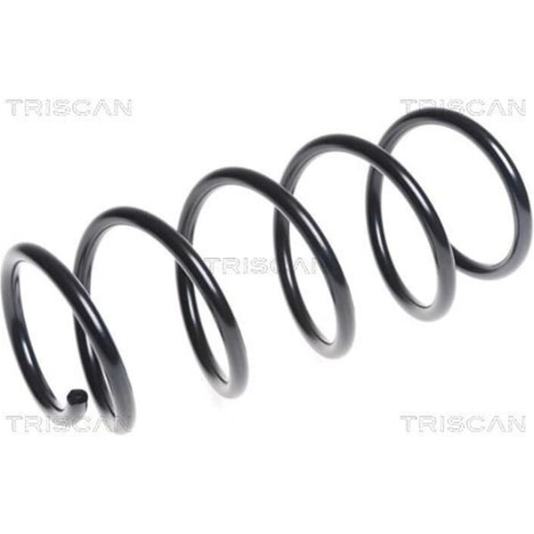 Triscan Feder Vorne Fiat Grande Punto 1,4-image